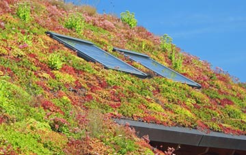 Greenlaw Mains living roof systems