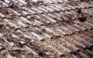 Greenlaw Mains roof cleaning companies