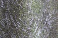 Greenlaw Mains fibreglass roof work